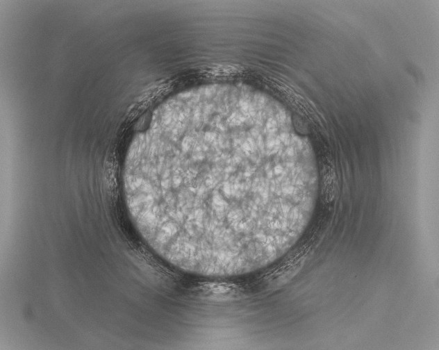 X0000115660654200912101052