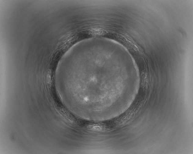 X0000115660655200912101052