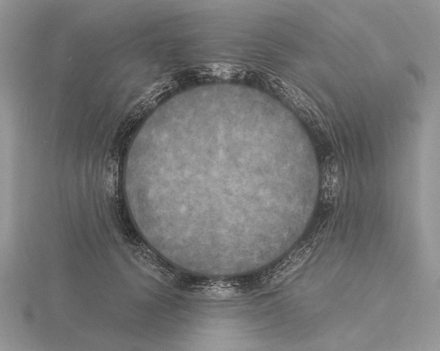 X0000115660656200912101053