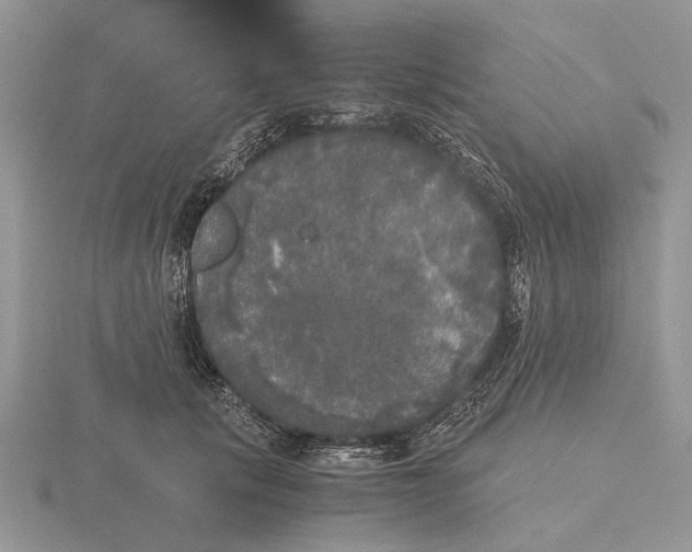 X0000115660657200912101053