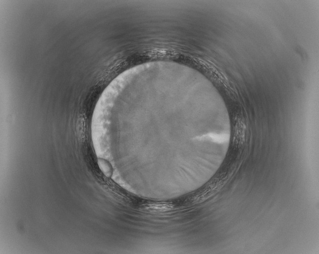 X0000115660659200912101053