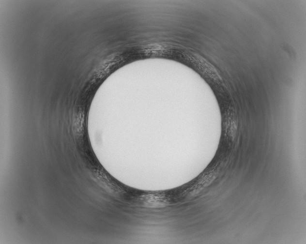 X0000115660660200912101053