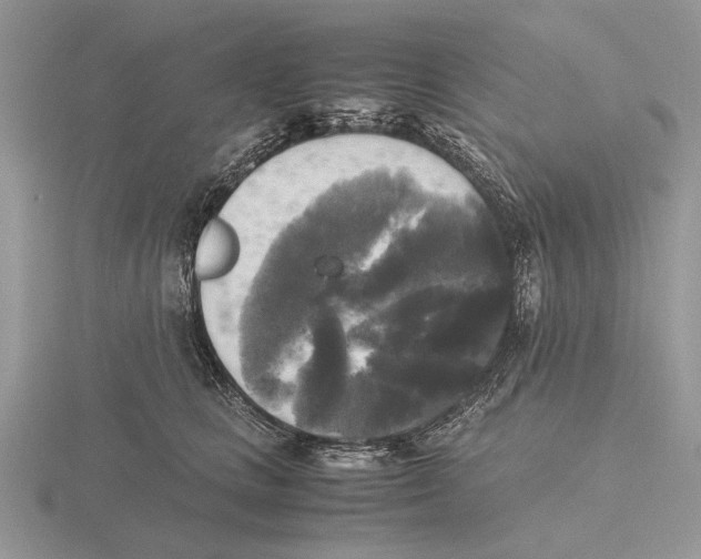 X0000115660661200912101053