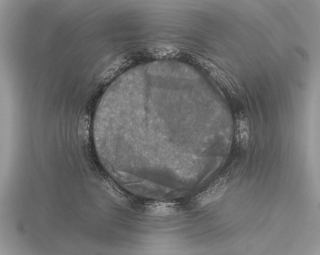 X0000115660664200912101053