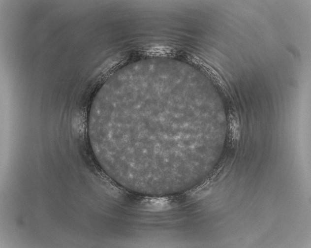 X0000115660665200912101053