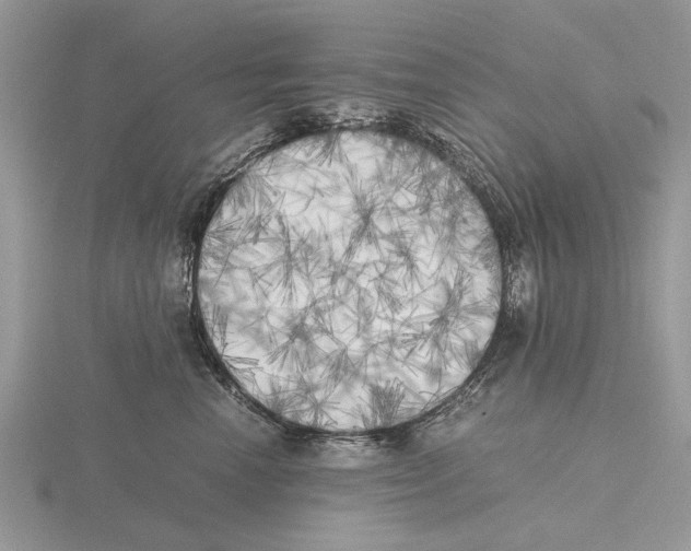 X0000115660666200912101053