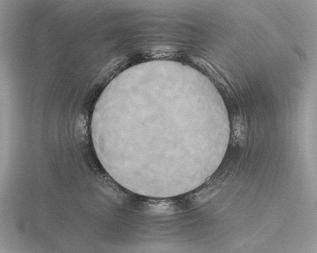 X0000115660667200912101053