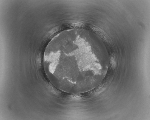 X0000115660668200912101053