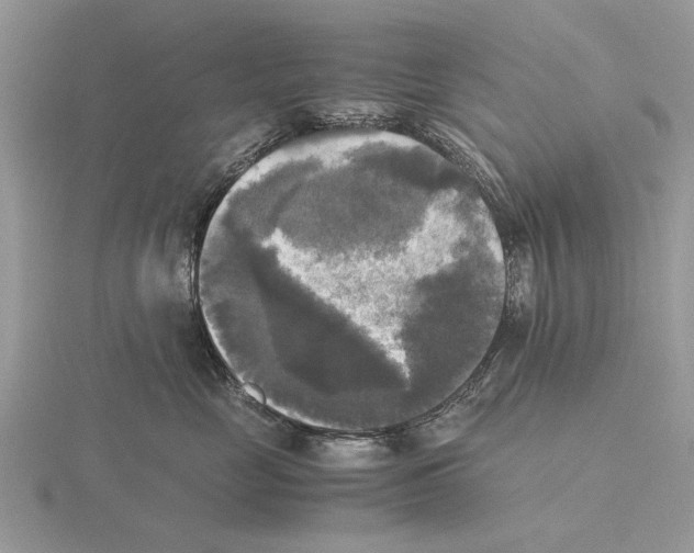 X0000115660669200912101053