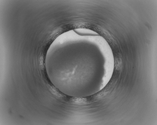 X0000115660670200912101053