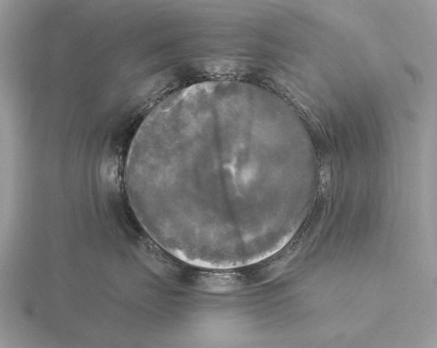 X0000115660671200912101053