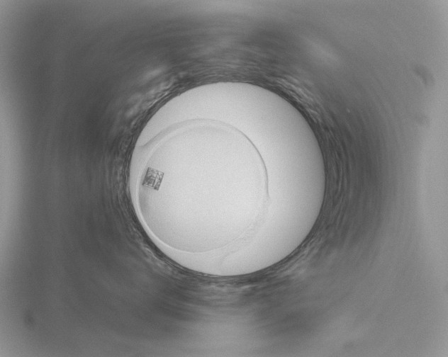 X0000115660672200912101053