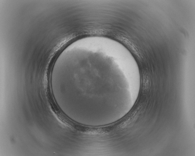 X0000115660674200912101052