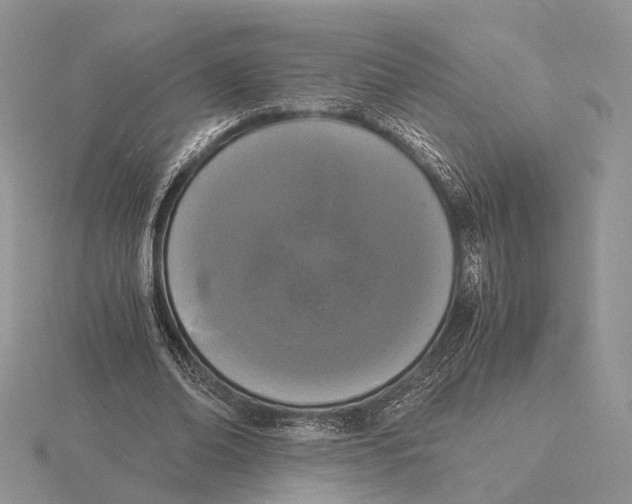 X0000115660678200912101052