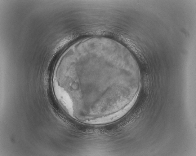 X0000115660679200912101052