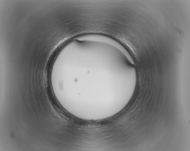 X0000115660684200912101052