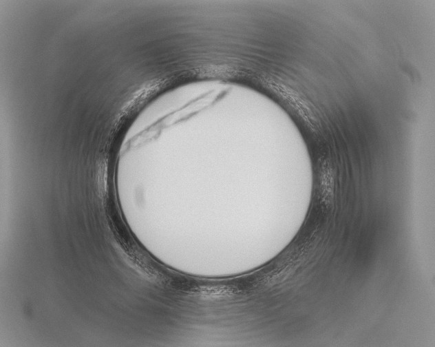 X0000115660686200912101052