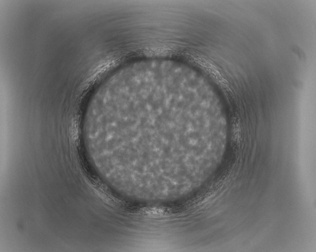 X0000115660687200912101052