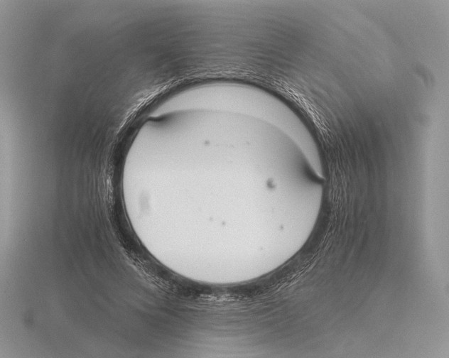 X0000115660688200912101052