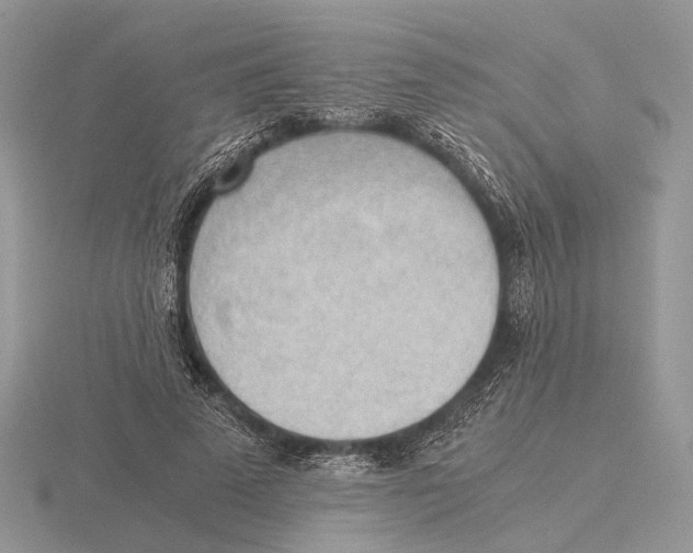 X0000115660689200912101052