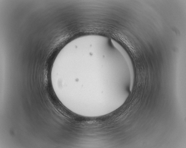 X0000115660692200912101052