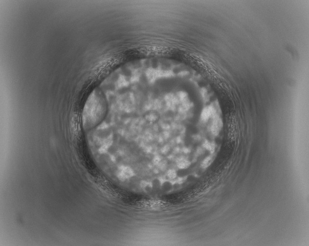 X0000115660695200912101052