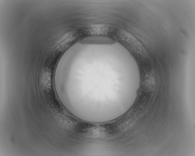 X0000115660696200912101052