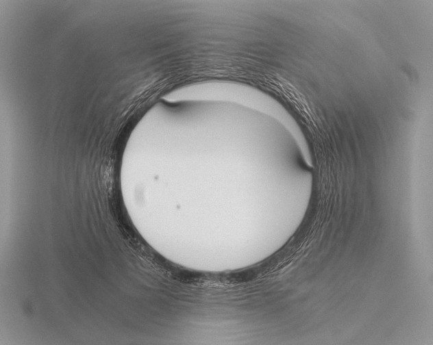 X0000115660697200912101052