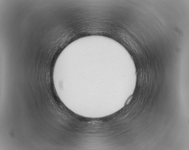 X0000115660700200912101052