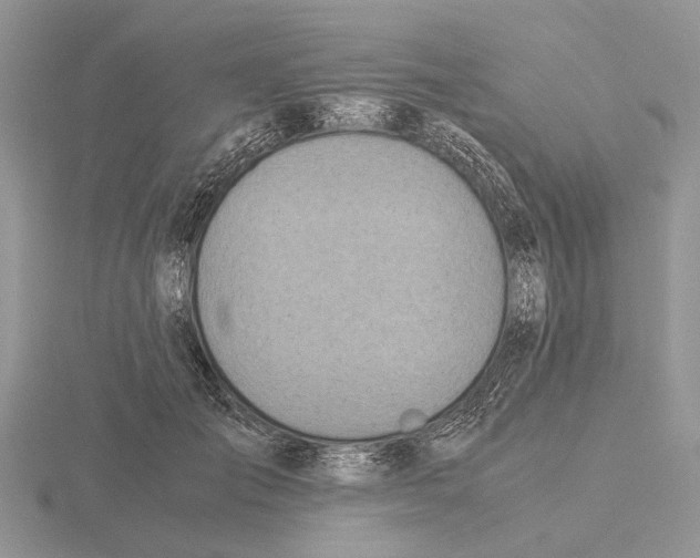 X0000115660701200912101052