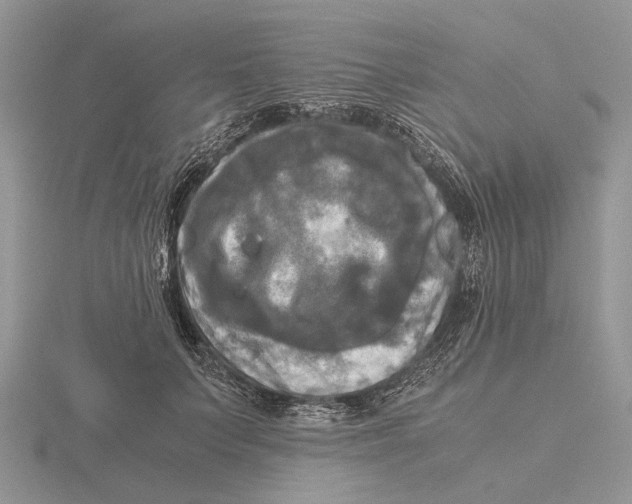 X0000115660703200912101052