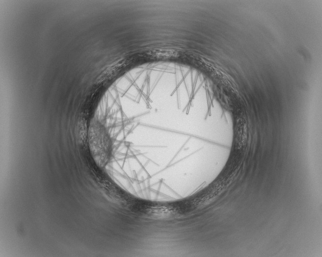 X0000115660704200912101052