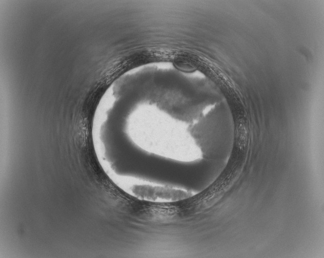 X0000115660707200912101052