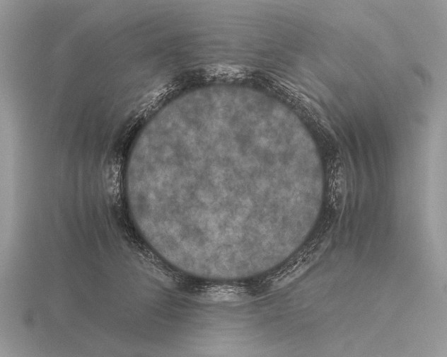 X0000115660708200912101052