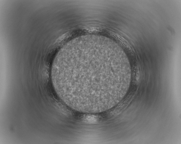 X0000115660710200912101052