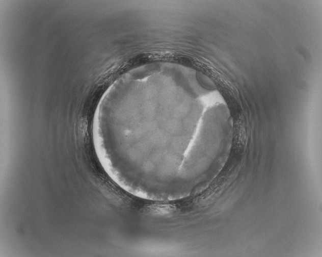 X0000115660711200912101052