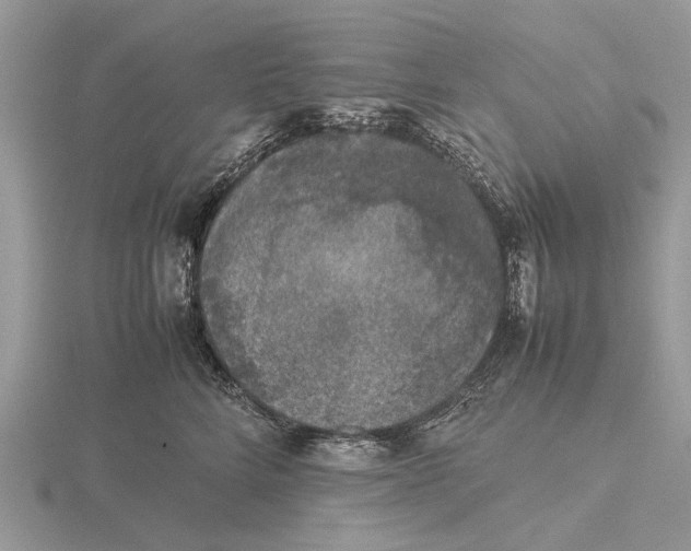 X0000115660712200912101052