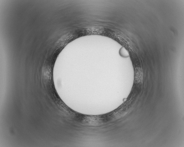 X0000115660713200912101052