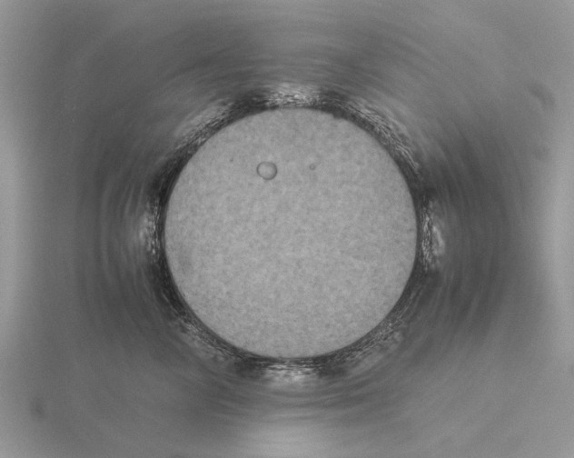 X0000115660714200912101052