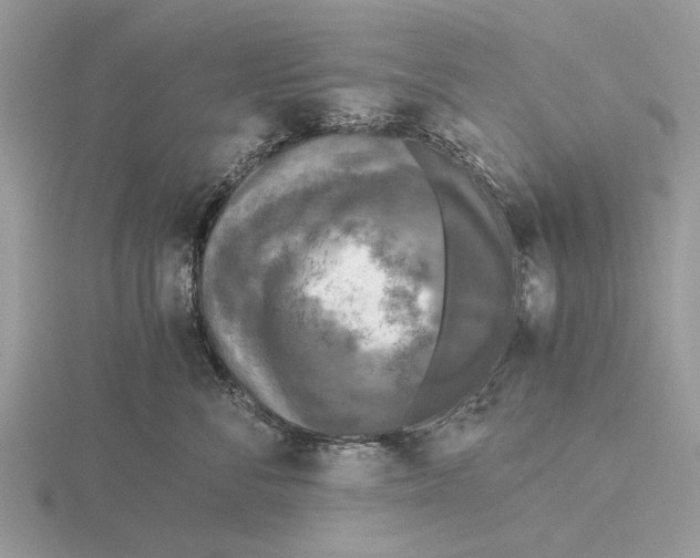 X0000115660716200912101052