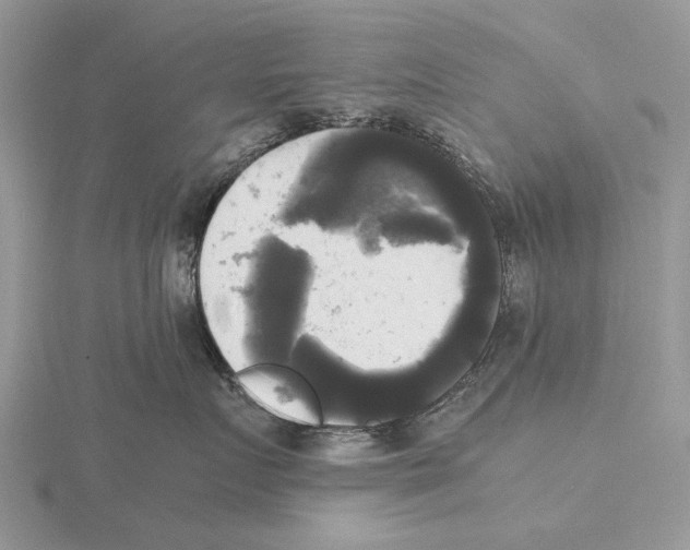 X0000115660719200912101052