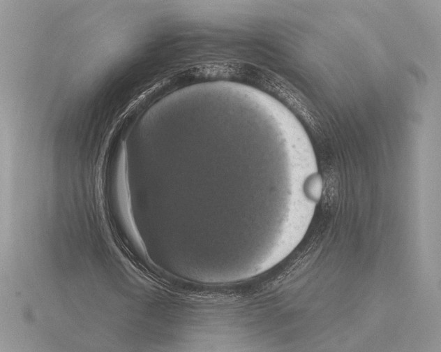 X0000115660722200912101051