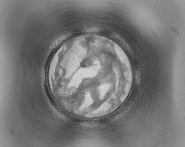 X0000115660725200912101051