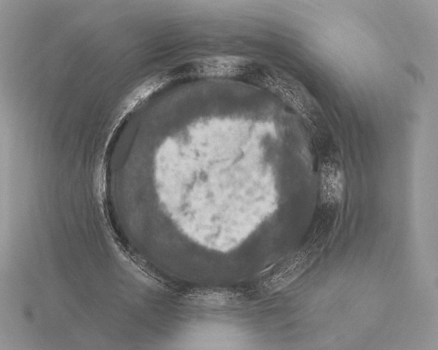 X0000115660726200912101051