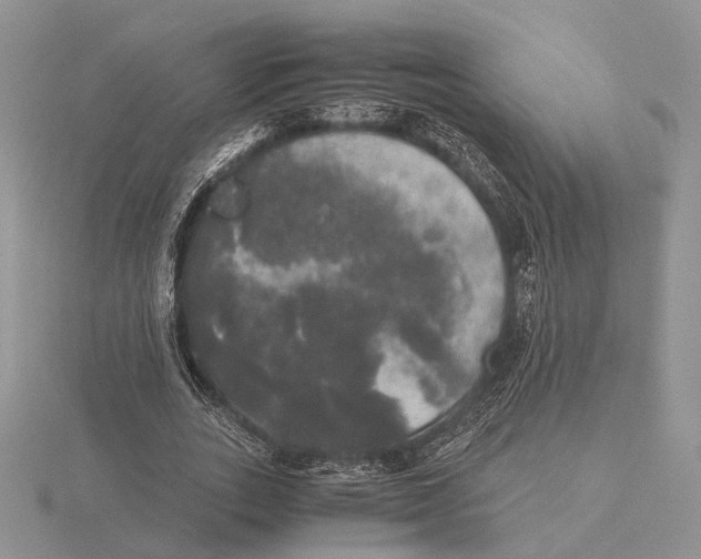 X0000115660727200912101051