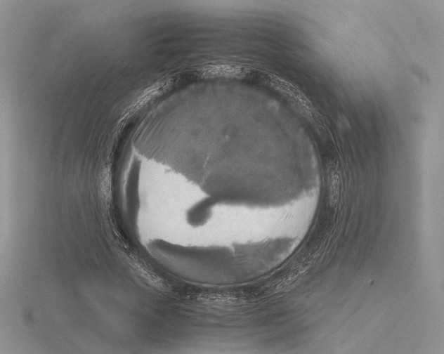 X0000115660729200912101051