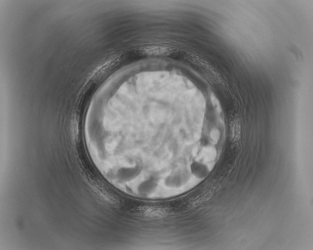 X0000115660733200912101051