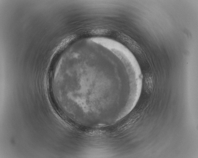 X0000115660734200912101051