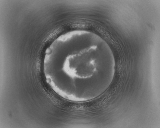 X0000115660735200912101051