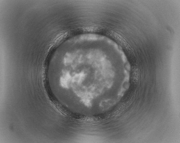 X0000115660738200912101051